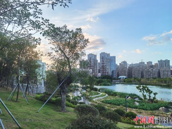 整改后的南溪一景。