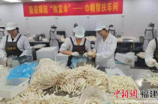 图为巾帼帮扶车间现场。