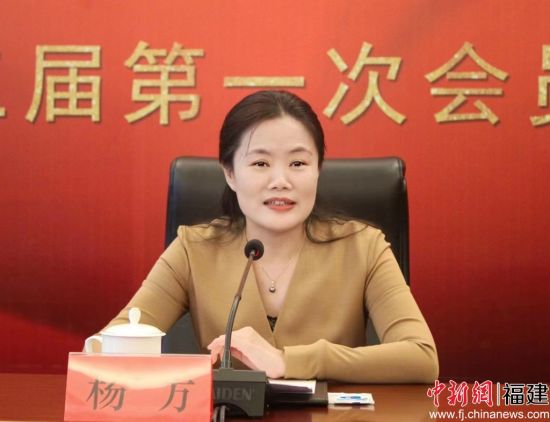 宁德市委副书记杨方致辞。 林榕生 摄