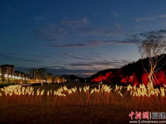 武夷新区千亩花海焕新颜。王升洪 摄