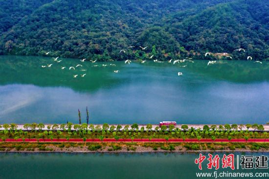  图为三明市将乐县常口村常源湖森林康养慢道。