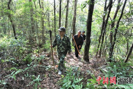 开展林场巡护工作。 开展林场巡护工作。